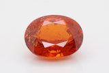 14.73 Carat Orange Color Spessertite Garnet  (SG026)