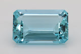 98.75 Carat Collection piece Santa Maria Blue Colour Aquamarine  (AQ1513)