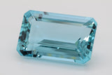98.75 Carat Collection piece Santa Maria Blue Colour Aquamarine  (AQ1513)