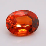 25.01 Carat Orange Colour Spessartite Garnet  (SG113)