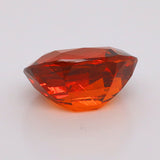 25.01 Carat Orange Colour Spessartite Garnet  (SG113)