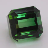 30.55 Carats Leaf Green Tourmaline (TR046)