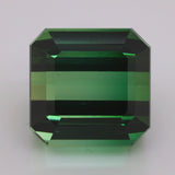 30.55 Carats Leaf Green Tourmaline (TR046)