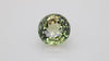 50.94 Carat Yellowesh green Color Tourmaline (TR241)