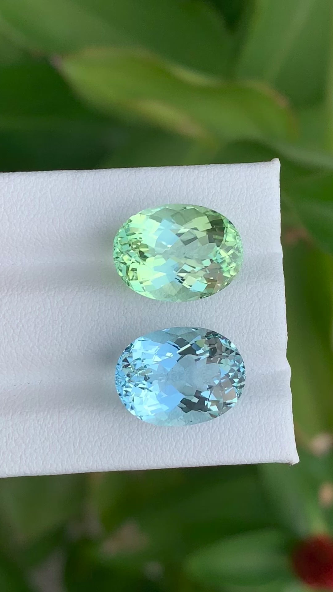 13.41 Carat Tourmaline And Aquamarine Reverse Pair  (MX017)