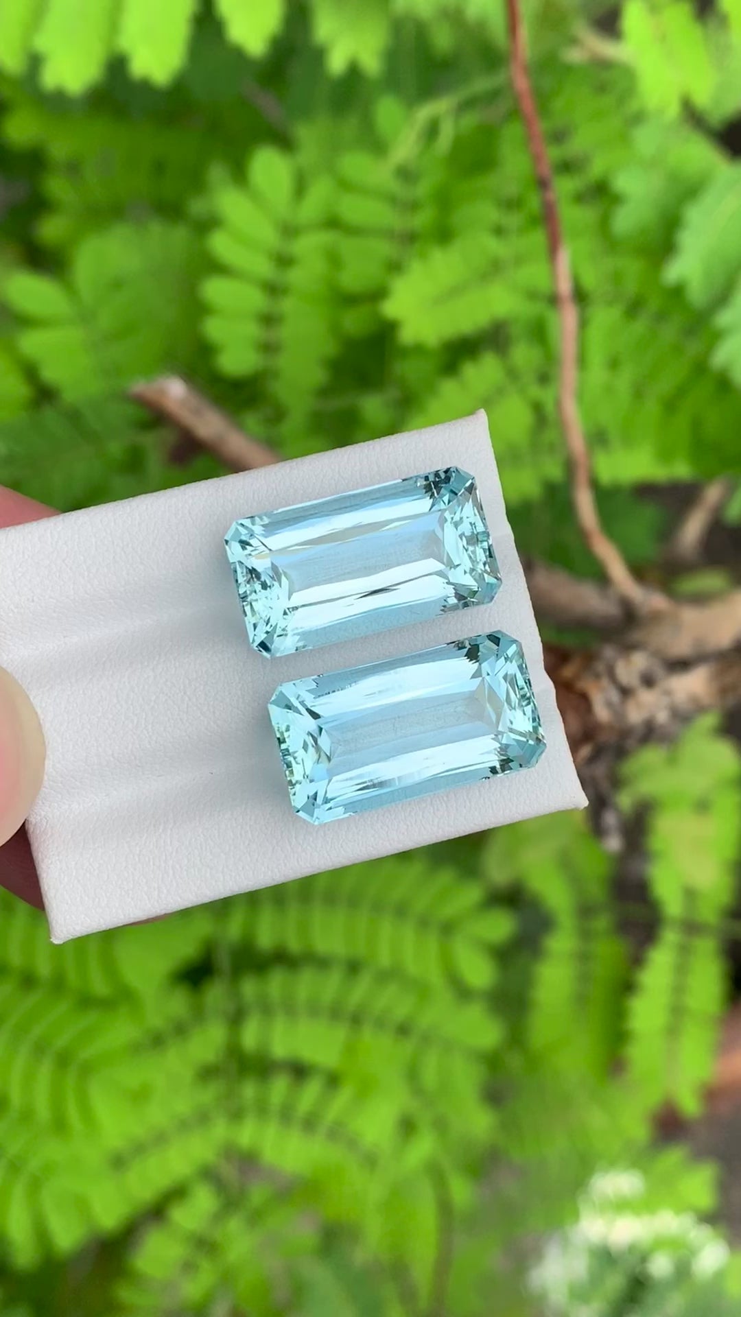 30.92 Carat Really Gorgeous Pair Of Aquamarine Perfect For Earring (AQ1332)