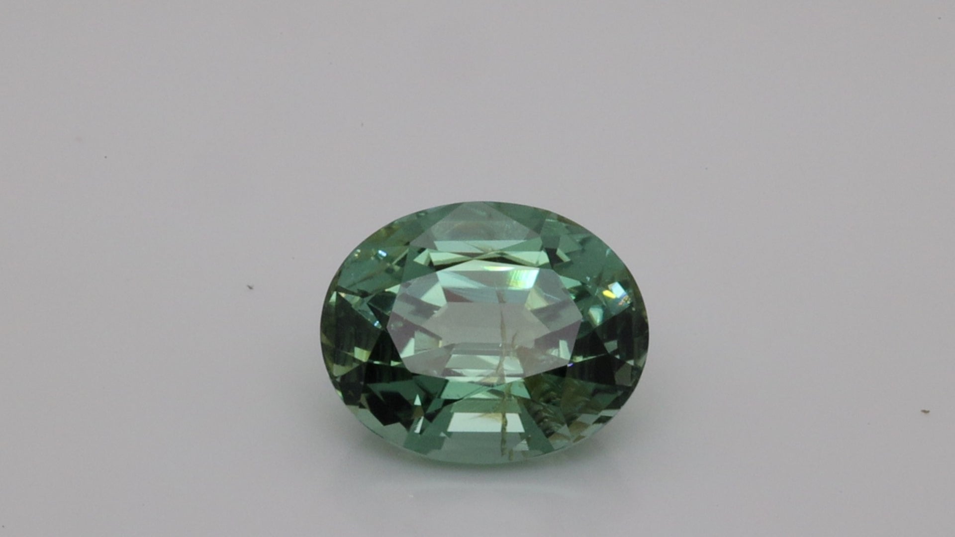 7.78 Carats Leaf Green Tourmaline (TR100)