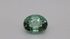 7.78 Carats Leaf Green Tourmaline (TR100)