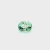 9.16 Carats Mint Green Tourmaline (TR078)