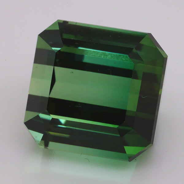 30.55 Carats Leaf Green Tourmaline (TR046)