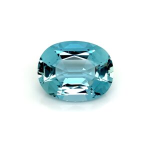 69.60 Carats Rich Blue Aquamarine (AQ491)